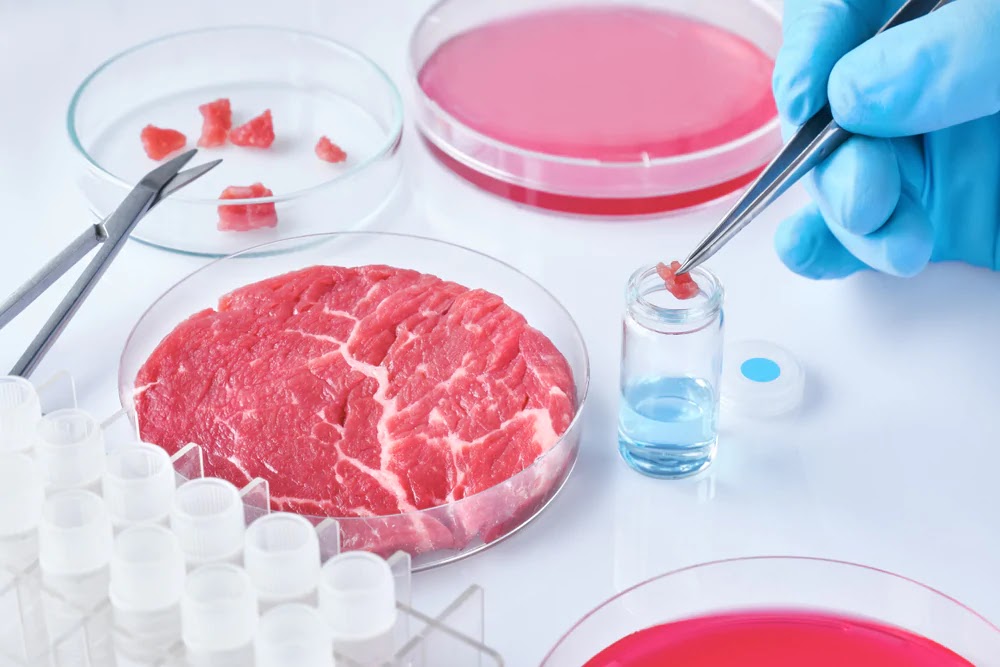 carne-sintetica-cibo-futuro.jpg