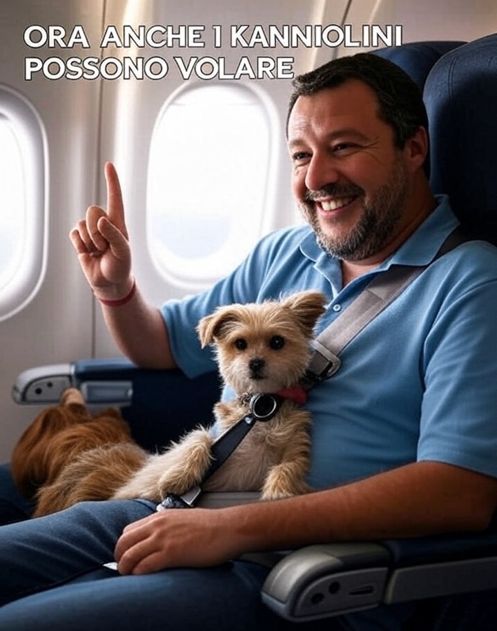 image - 2025-08-12T113657.359.jpg