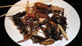 Capire la psiche degli esseri umani alla luce degli insetti a tavola