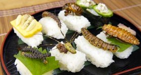 Il libero mercato spiegato con gli insetti