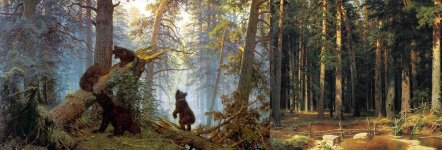 Io sto con gli ippopotami (e gli orsi)