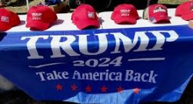 Le elezioni in America e le illusioni dei trumpiani (di Franco Marino)