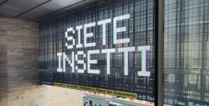 Gli insetti di Netflix e la somiglianza tra complottisti e anticomplottisti (di Franco Marino)