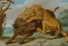 Il 25 Aprile, il leone, il cinghiale e gli avvoltoi (di Franco Marino)