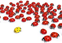 Responsabilità individuale e colpe collettive