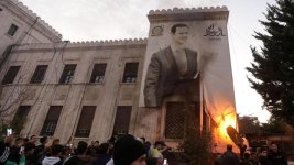 Cavoli assiri (di Franco Marino)