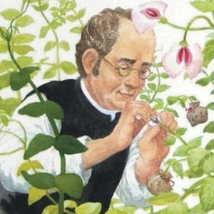 Screenshot 2024-02-08 095200.png