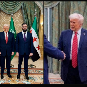 Screenshot 2025-05-14 131339.png