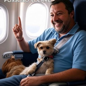 image - 2025-08-12T113657.359.jpg