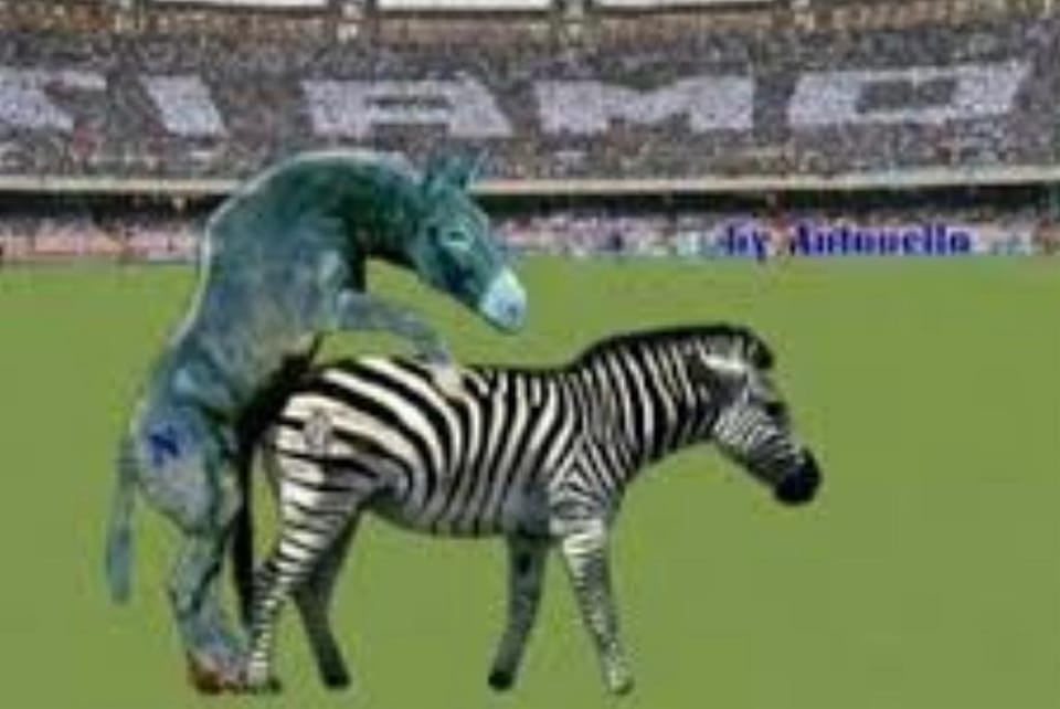 asinozebra.jpg